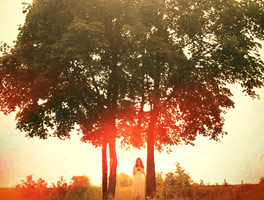 诚信经营的ddos网页版